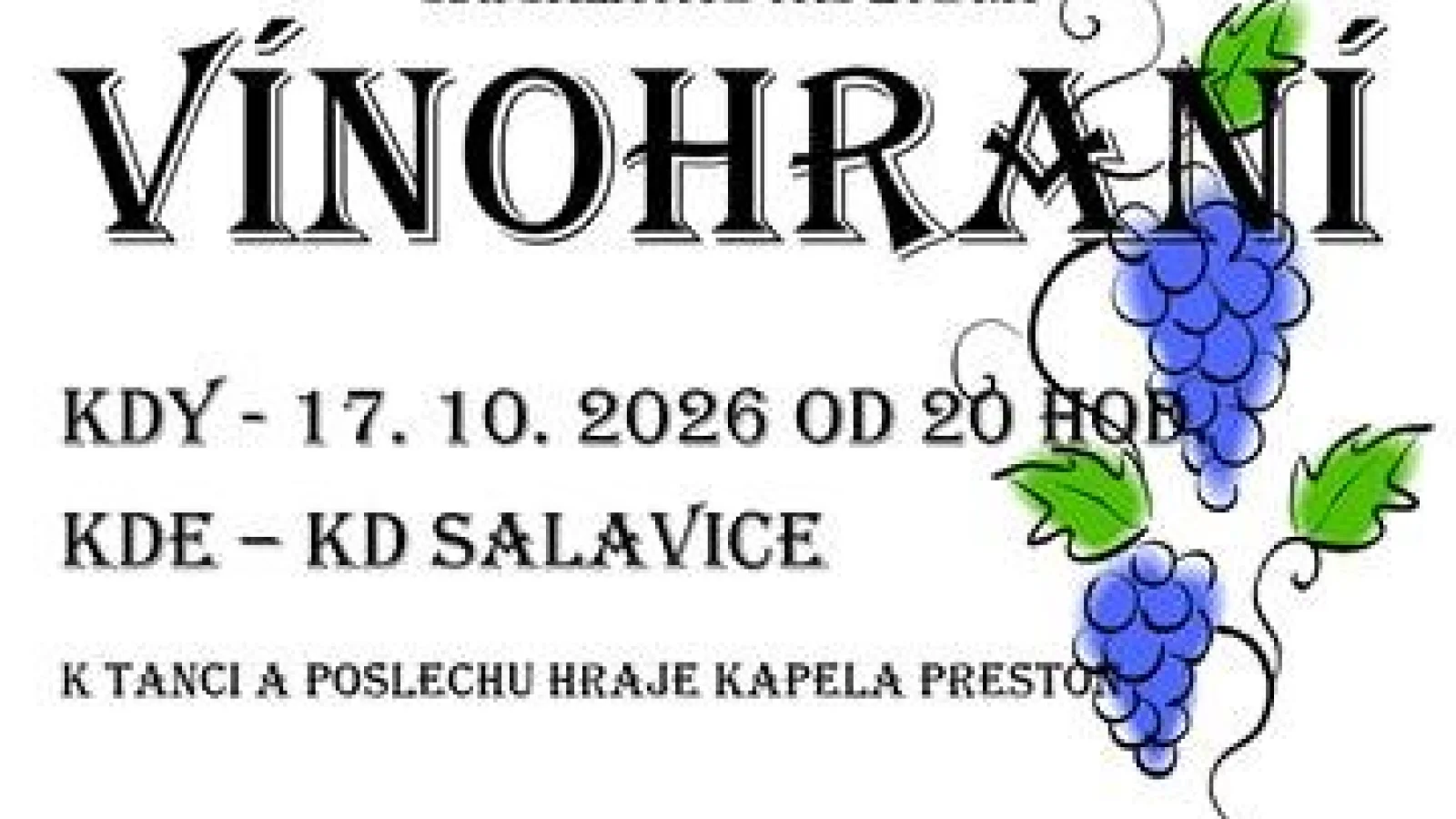 Salavické Vínohraní – Jiné, Salavice