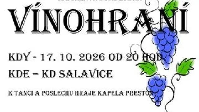 Salavické Vínohraní – Jiné, Salavice