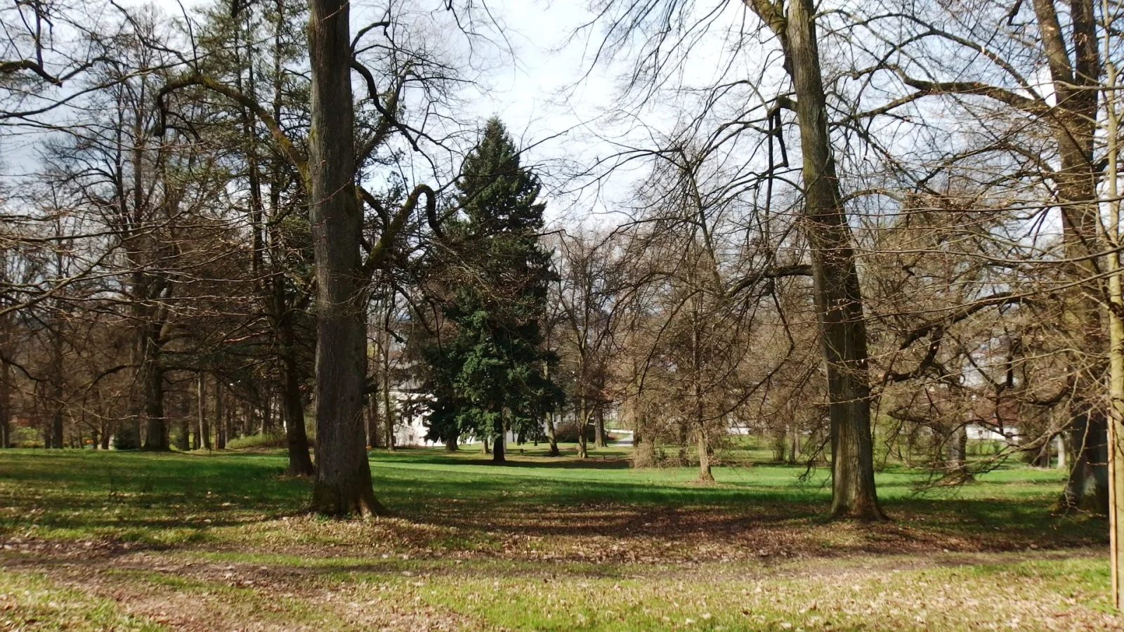 Zámecký park – Park, Třešť