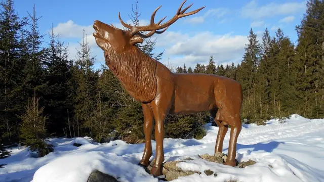 Jelení hora – Park, Hodice